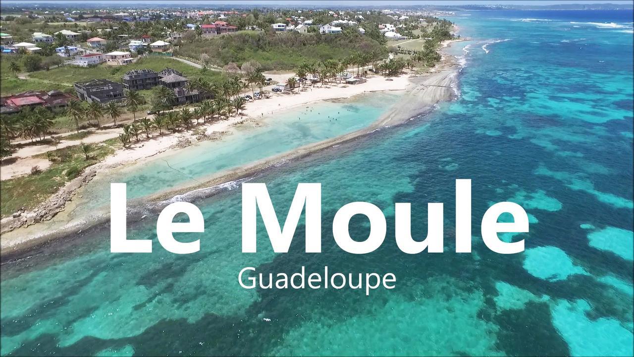Le Moulin De La Baie Piscine Vue Mer Le Moule Esterno foto